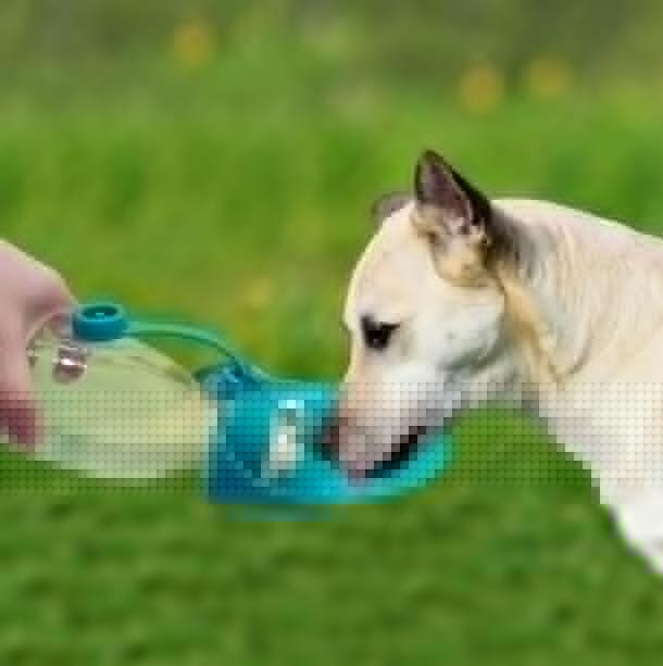 Garrafa Portátil de Água para Cães